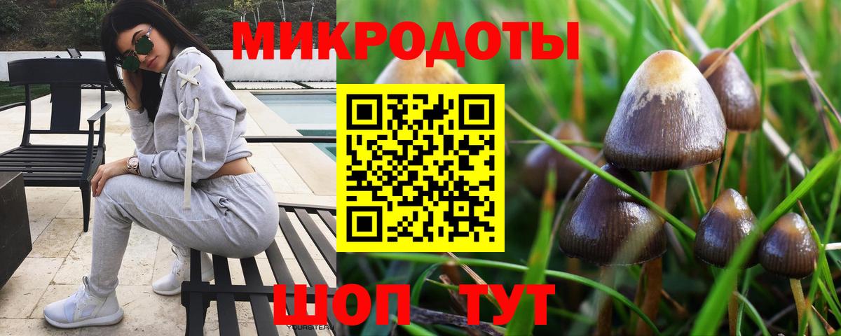 Галлюциногенные грибы GOLDEN TEACHER  Псилоцибиновые грибы мухоморы  Набережные Челны  хочу   Вход с VPN 